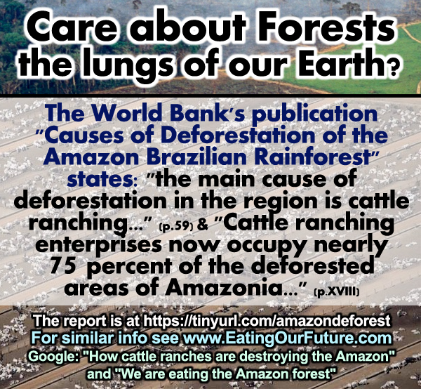 World Bank Report Amazon Forest Deforestation Cattle Meat Livestock Animal Ag Agriculture Greenhouse Gas Carbon Footprint Climate Change Destroy Damage Pollute Environment Wastes Water Fuel Energy Grain Resources Vegetarian Vegan Benefits Lifestyle Health Diet