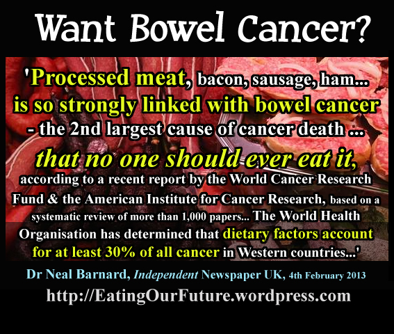 Medical Study Studies Reports on why how Processed Red Meat Bad Unhealthy Disadvantages High Higher Risk Bowel Cancer Cancers Worse Wrong More Disease and Vegetarianism Veganism is Good Better Health Advantages Benefits of Vegan Vegetarian Health Diet Foods Less Illness Diabetes Obesity CHD Heart Disease more Weight Loss