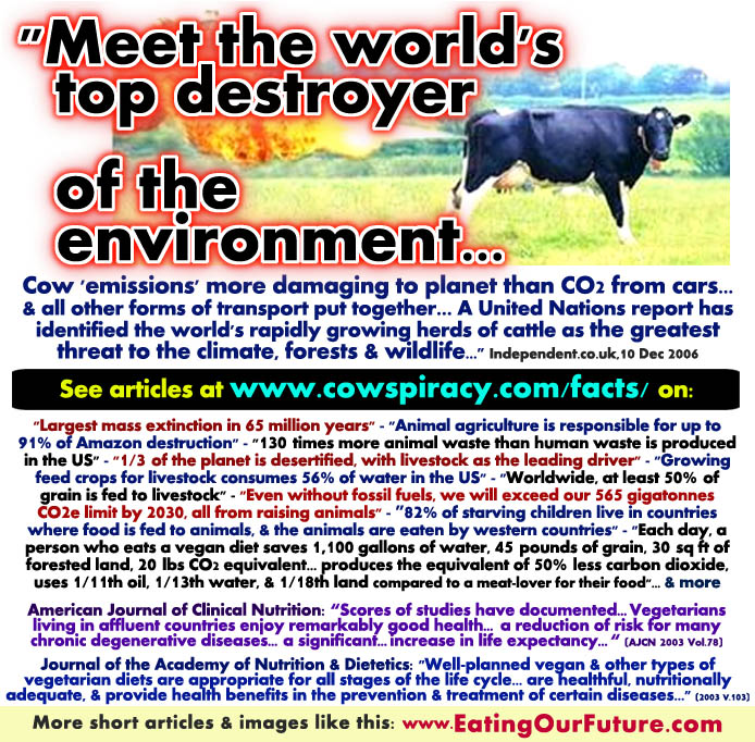 Meat Livestock Cattle Cows Animal Agriculture Farms Causes Climate Change Greenhouse Gas Truth Pollution DeForestation Desertification Methane Famine Waste Water Fuels Grains Food Arable Land Vegan Vegetarian Healthy Solution Facts Stats Best Memes