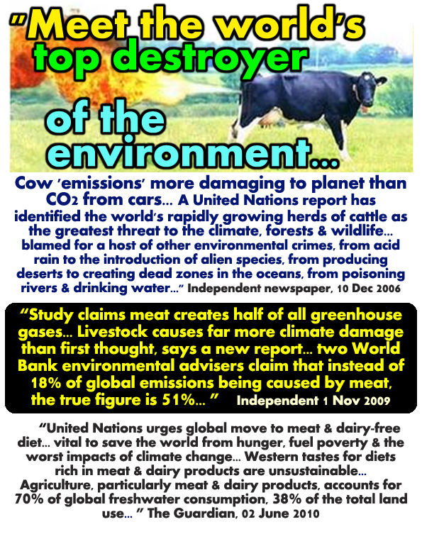 United Nations Report Why Meat Eaters Bad Wrong Causes More Climate Change Pollution Carbon Footprint than Cars Transport Animal Agriculture Pollutes Wastes Resources How Vegans Veganism Vegetarianism Good Best Better Beneficial Healthy